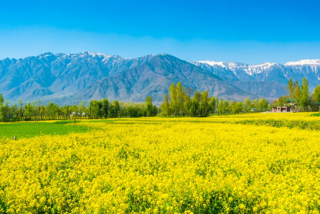 Bandipora Kashmir