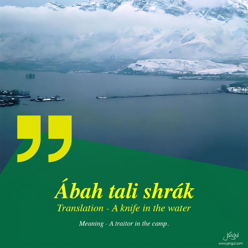 Kashmiri proverbs