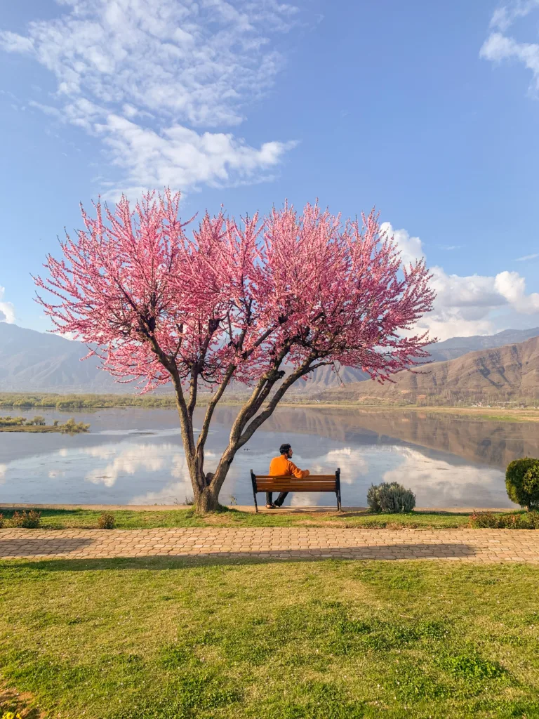 Wullar Lake Bandipora